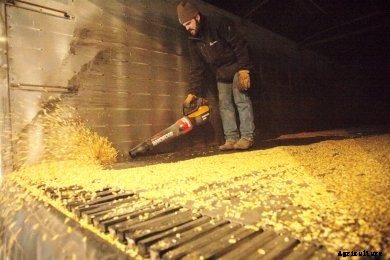 leaf-blower Product Test Team: 7 Farmer-Approved Tools